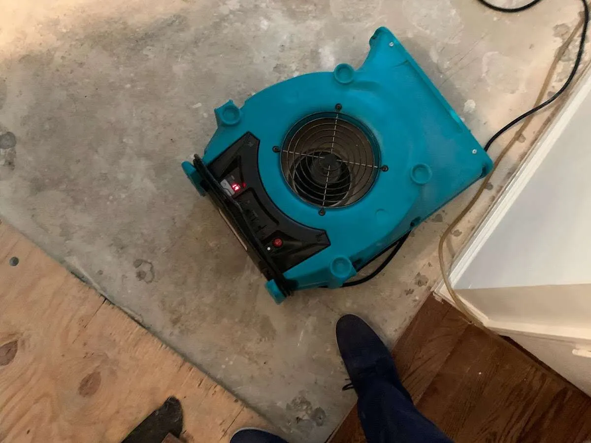 Air mover drying subfloor during Commercial Water Damage Restoration in Woodland Park